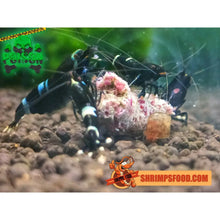 Charger l&#39;image dans la galerie, lollies pour crevettes aquarium shrimpsfood nourriture pour crevettes pellets pour crevettes
