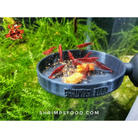 lollies pour crevettes aquarium shrimpsfood nourriture pour crevettes pellets pour crevettes