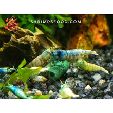 Charger l&#39;image dans la galerie, lollies pour crevettes aquarium shrimpsfood nourriture pour crevettes pellets pour crevettes
