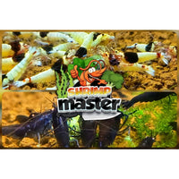 lollies pour crevettes aquarium shrimpsfood nourriture pour crevettes pellets pour crevettes