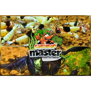 lollies pour crevettes aquarium shrimpsfood nourriture pour crevettes pellets pour crevettes