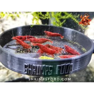 lollies pour crevettes aquarium shrimpsfood nourriture pour crevettes pellets pour crevettes