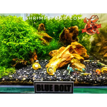 Charger l&#39;image dans la galerie, Plaque 3D Personnalisable - ETIQUETTE 3D
