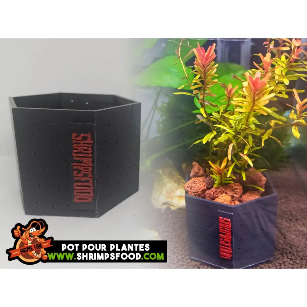 Pot pour plantes au sol
