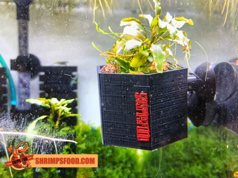 Pot ventousé pour plantes