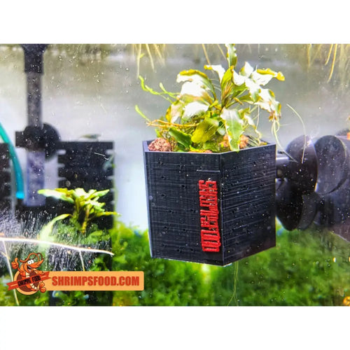 Pot ventousé pour plantes