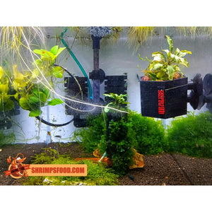 Pot ventousé pour plantes