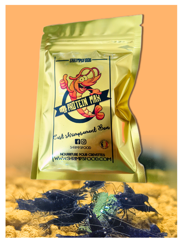 lollies pour crevettes aquarium shrimpsfood nourriture pour crevettes pellets pour crevettes