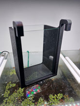 Laden Sie das Bild in den Galerie-Viewer, Sélection Box pour crevettes N°2
