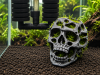 Skull Moss crâne végétalisable pour aquarium avec mousse aquatique - mise en situation