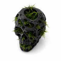 Exemple Skull Moss végétalisé - mousse aquatique non fournie