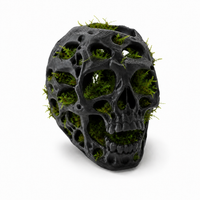 Exemple Skull Moss avec Fissidens ou mousse de Java - mousse non fournie