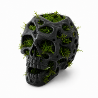 Exemple Skull Moss avec mousse aquatique - mousse non fournie