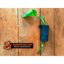 Charger l&#39;image dans la galerie, Support boutures plantes
