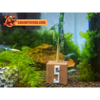 lollies pour crevettes aquarium shrimpsfood nourriture pour crevettes pellets pour crevettes