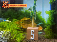 Support pour maintenir les lollies de crevettes dans l’aquarium