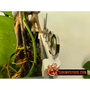 Support outils aquarium