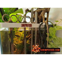 Support outils aquarium - Support outils sur vitre