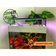 Laden Sie das Bild in den Galerie-Viewer, Support végétal pour aquarium
