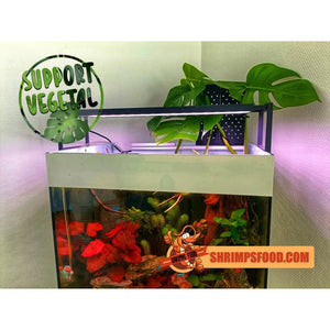 Support végétal pour aquarium