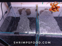 Supports de vitre pour créer des points d’appui de couvercle d’aquarium