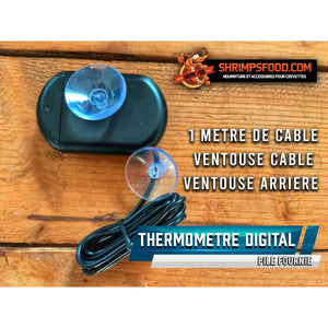 Thermomètre digital aquarium - thermomètre aquarium