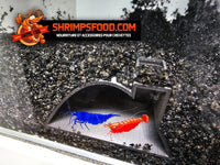 Tunnel grotte aquarium n°5