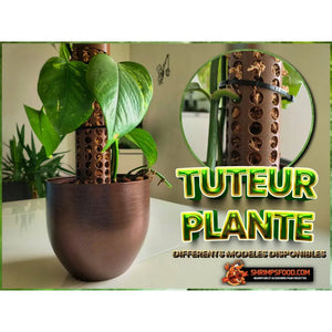 Tuteur sphaigne pour plante - tuteur pour plantes