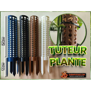 Tuteur sphaigne pour plante - tuteur pour plantes