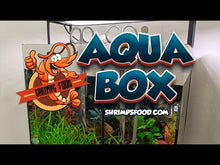Charger et lire la vidéo dans la visionneuse de la Galerie, Aqua Box Shrimpsfood
